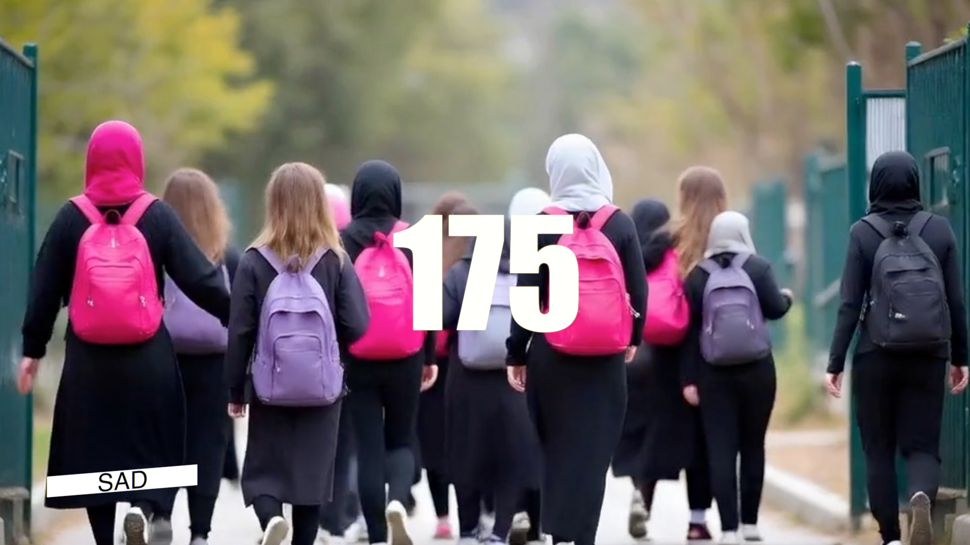 Our Products and Services